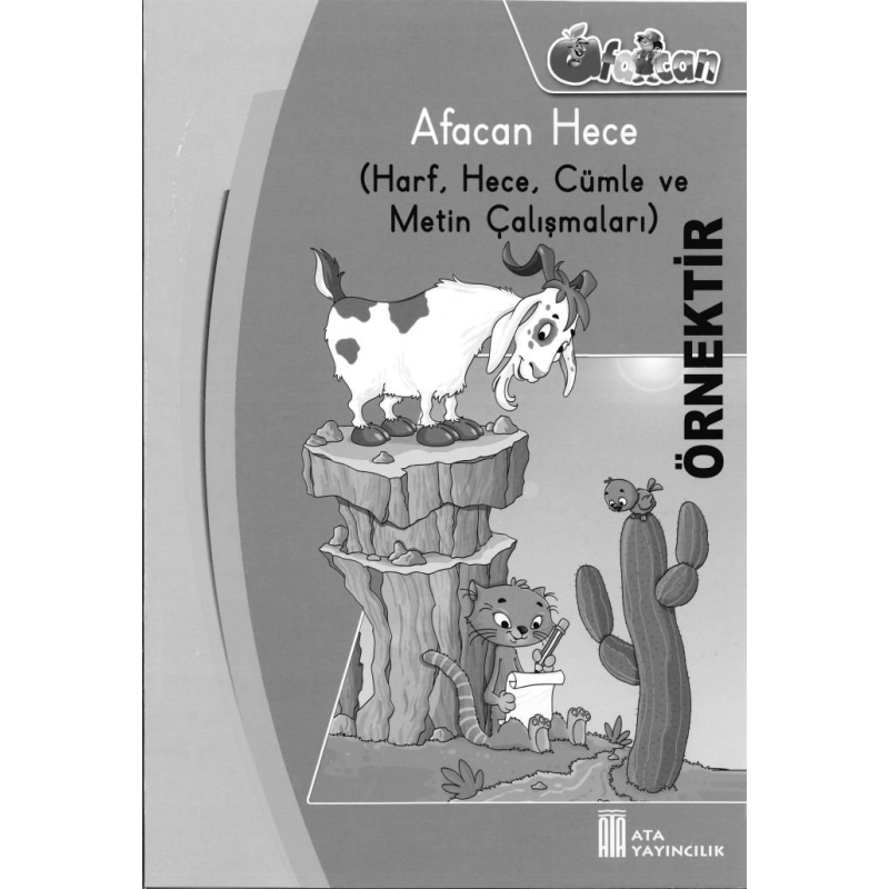 AFACAN HECE CÜMLE METİN ÇALIŞMALARI