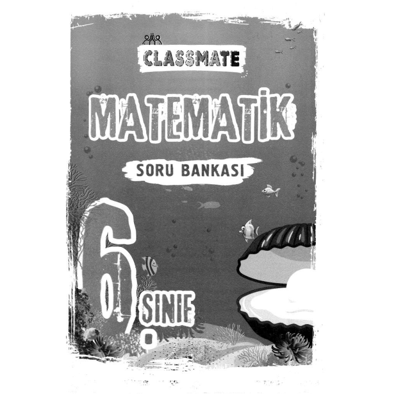 CLASSMATE MATEMATİK SORU BANKASI