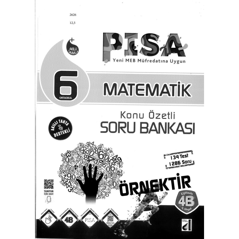 PISA MATEMATİK KONU ÖZETLİ SORU BANKASI