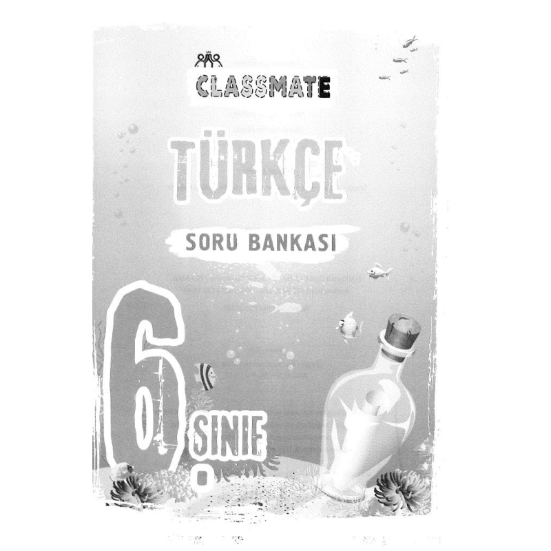 CLASSMATE TÜRKÇE SORU BANKASI