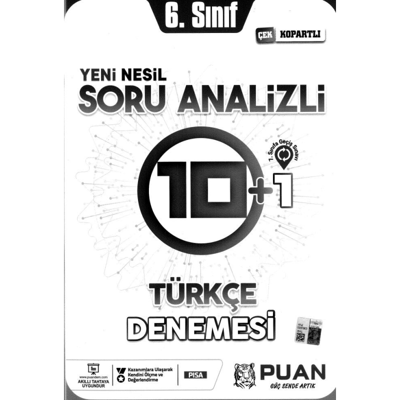 SORU ANALİZİ 10+1 TÜRÇE DENEMESİ