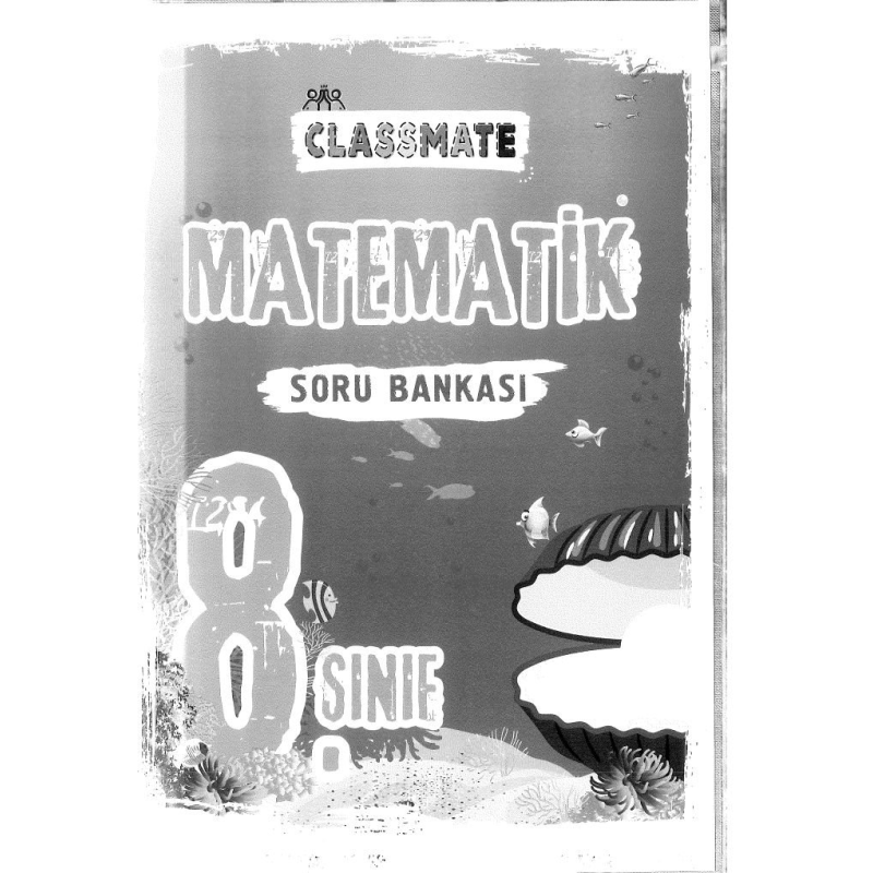 CLASSMATE MATEMATİK SORU BANKASI