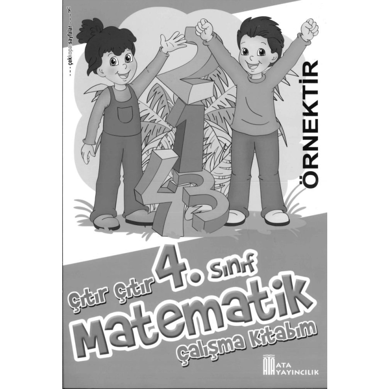 ÇITIR ÇITIR MATEMATİK ÇALIŞMA KİTABIM