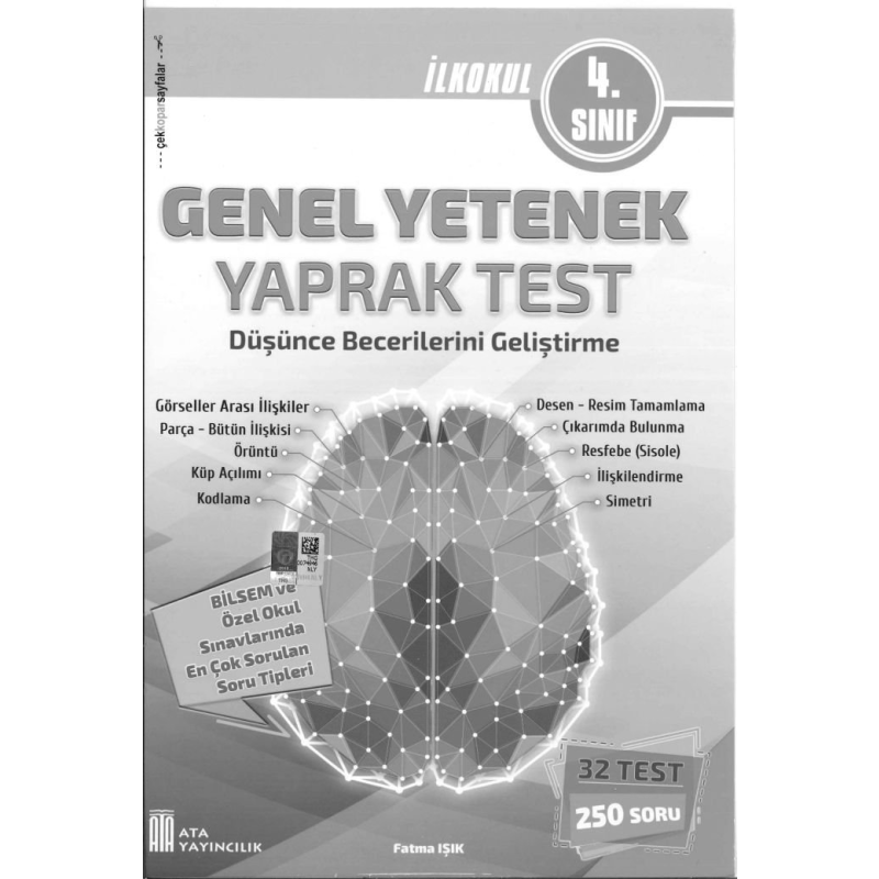 GENEL YETENEK DÜŞÜNCE BECERİLERİNİ GELİŞTİRME