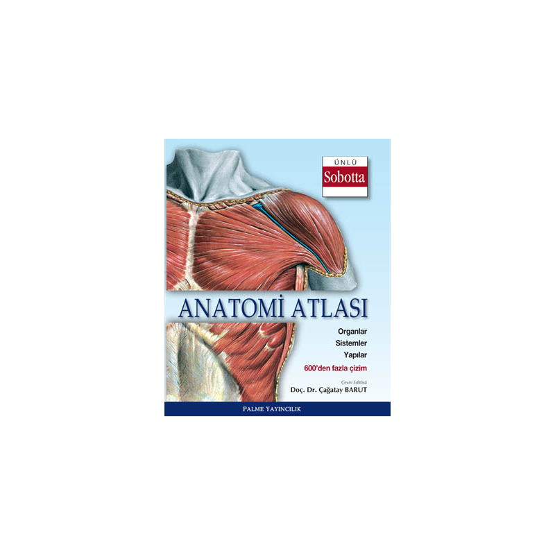 Anatomi Atlası (Sobotta Çizimleri) Palme Yayıncılık