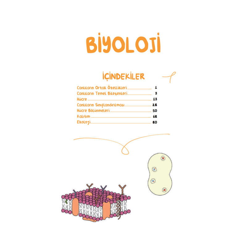 TYT Biyoloji Vip Notlar Vin Kampüs