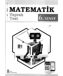 MATEMATİK YAPRAK TEST