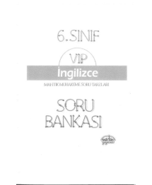 VIP İNGİLİZCE SORU BANKASI