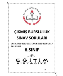 ÇIKMIŞ BURSLULUK SINAV SORULARI