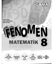 FENOMEN MATEMATİK SORU BANKASI