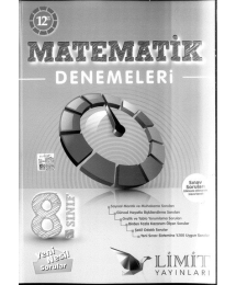 MATEMATİK DENEMELERİ