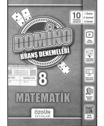 DOMİNO BRANŞ DENEMLERİ MATEMATİK