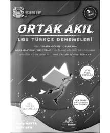ORTAK AKIL LGS TÜRKÇE DENEMELERİ