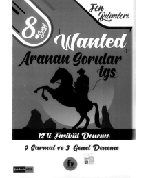 WANTED ARANAN SORULAR LGS 12'Lİ FASİKÜL DENEME