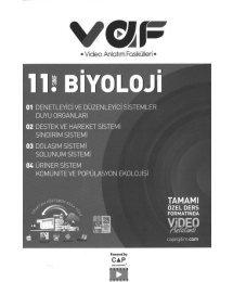 BİYOLOJİ TAMAMI ÖZEL DERS FORMATINDA VİDEO ANLATIMLI