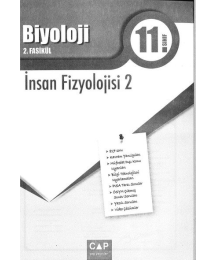 BİYOLOJİ 2. FASİKÜL İNSAN FİZYOLOJİSİ -2