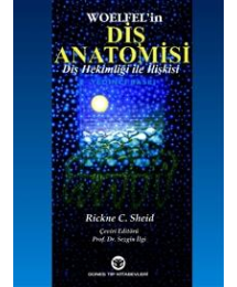 Diş Anatomisi Diş Hekimliği ile İlişkisi, Woelfel, Rickne Sheid, Sezgin İlgi