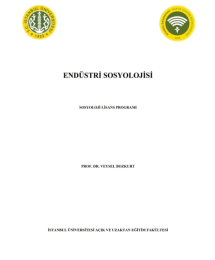 Endüstri Sosyolojisi