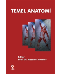 Temel Anatomi ODTÜ Yayıncılık Akademi