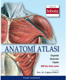 Anatomi Atlası (Sobotta Çizimleri) Palme Yayıncılık