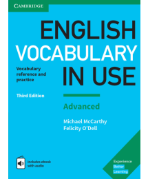 English Vocabulary in Use Advanced