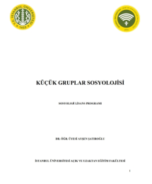 Küçük Gruplar Sosyolojisi